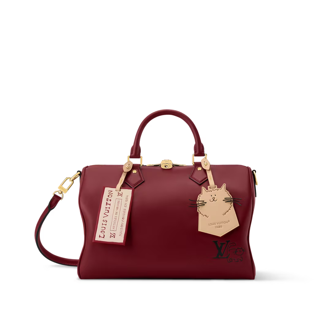 LOUIS VUITTON M25766 Speedy Soft 30 Bag