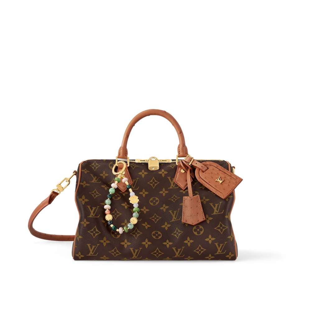 LOUIS VUITTON N87212 Speedy Soft 30 Boho