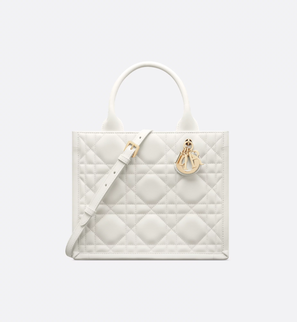 CHRISTIAN DIOR Small Dior Book Tote 7