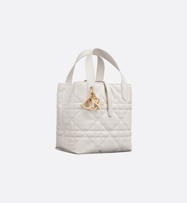 CHRISTIAN DIOR Small Dior Toujours Vertical Tote Bag 1