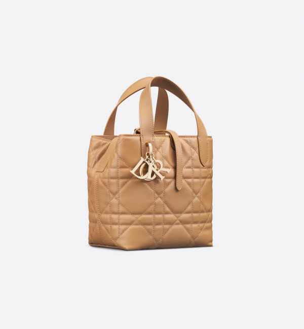CHRISTIAN DIOR Small Dior Toujours Vertical Tote Bag 2