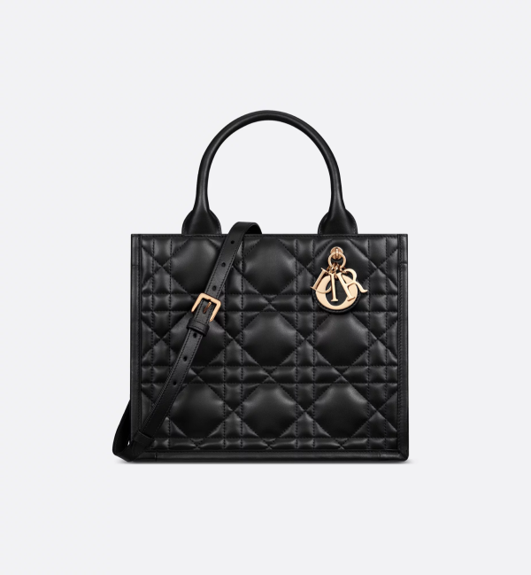 CHRISTIAN DIOR Small Dior Book Tote 6