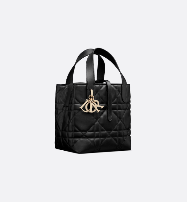 CHRISTIAN DIOR Small Dior Toujours Vertical Tote Bag 5