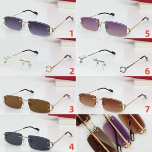 Cartier Glasses #5