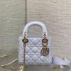 Mini Lady Dior Bag 17 x 15 x 7 cm