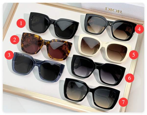 Dior Glasses #4
