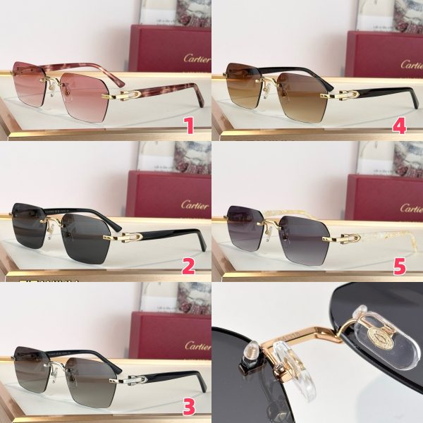 Cartier Glasses CT0623O 54-18-145
