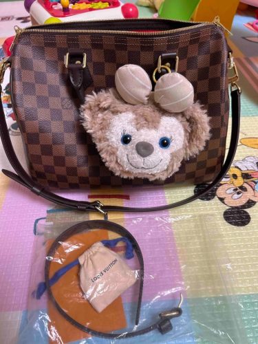 LOUIS VUITTON MASTER SPEEDY 30 N41364 (30*21*17cm) photo review
