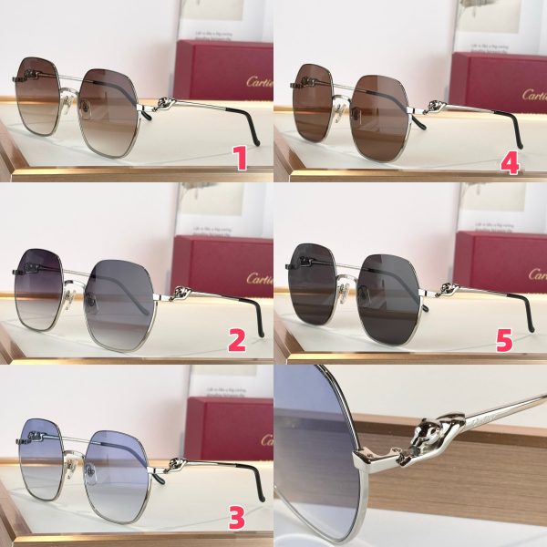 Cartier Glasses CT0267S 58-21-145