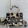 DIOR Lady Bag 24x11x20cm