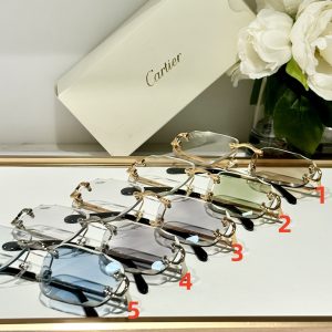 Alternative view of Cartier Glasses Photochromic lenses CT0092 55-18-145